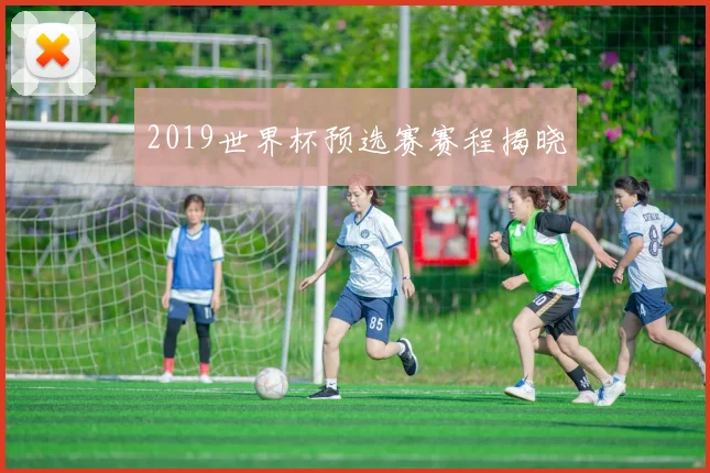 2019世界杯预选赛赛程揭晓
